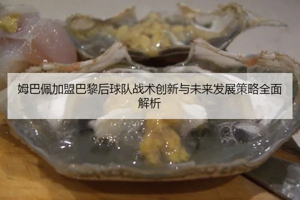 姆巴佩加盟巴黎后球队战术创新与未来发展策略全面解析