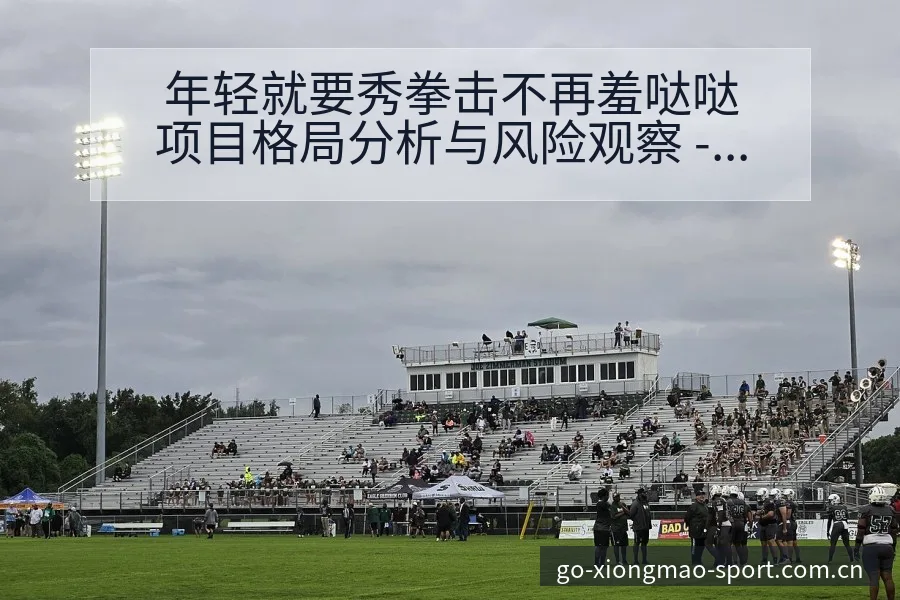 年轻就要秀拳击不再羞哒哒项目格局分析与风险观察 - 熊猫体育官网