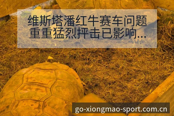 维斯塔潘红牛赛车问题重重猛烈抨击已影响排名变化与赛程看点 - 熊猫体育官网